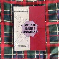 Esercizi di analisi e geometria 1