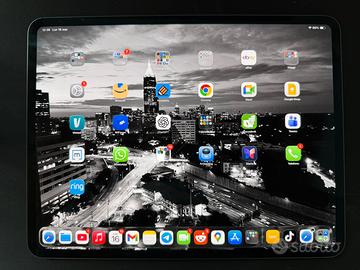 IPad Pro 13” M4 256GB nero Wifi