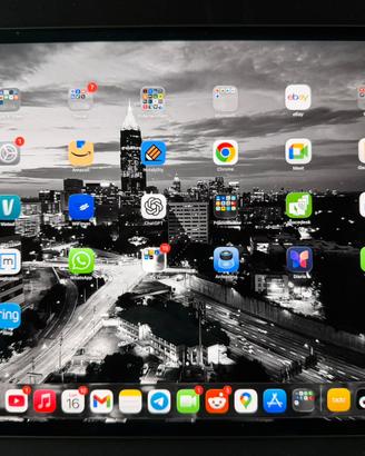 IPad Pro 13” M4 256GB nero Wifi
