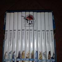 12 dvd- big fish adventure - completa