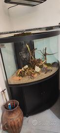 Acquario angolare