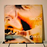 Shock the monkey - Peter Gabriel 