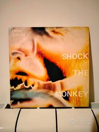 Shock the monkey - Peter Gabriel 