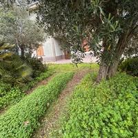 Casa semi indipendente con giardino