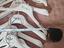 Immagine 5