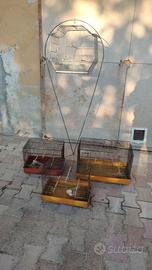 Quattro gabbie per uccelli più supporto