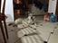 Immagine 25