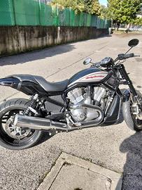 harley davidson V-Rod 1200