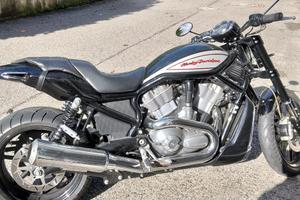 harley davidson V-Rod 1200