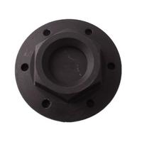 Coperchio mozzo ruota posteriore Piaggio Diesis NR