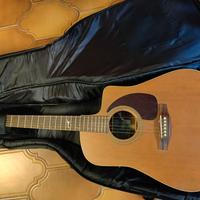 Chitarra acustica Seagull Artist Mosaic CW