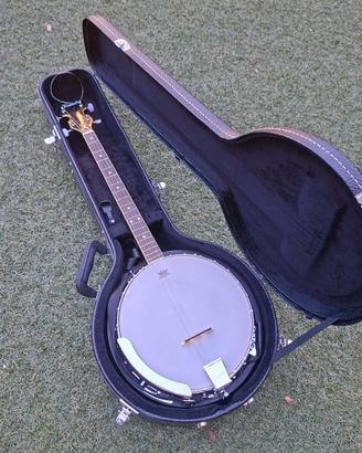 Tennessee Tenor 4 string Banjo