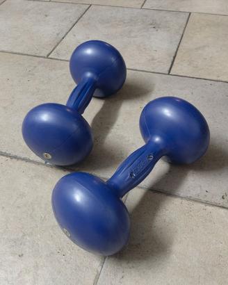 Coppia manubri palestra