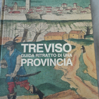 Treviso Guida Ritratto di una Provincia