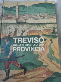 Treviso Guida Ritratto di una Provincia