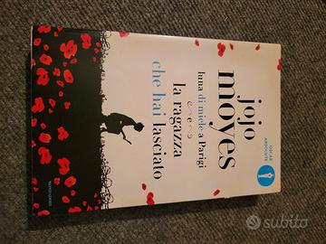 La ragazza  che hai lasciato 