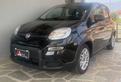Fiat Panda 1.0 firefly hybrid s&s 70cv 5p.ti
