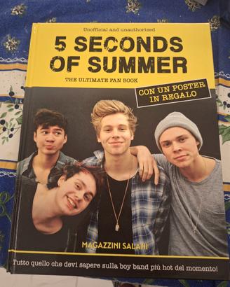 5 secondo of summer