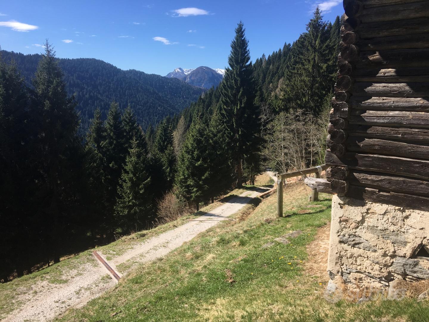 Rustico Maso Baita valle del Lozen - (Vanoi) - Vista 2