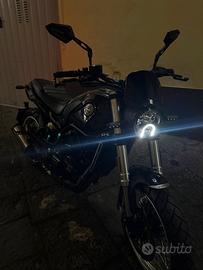 Benelli Leoncino 500 - 2023