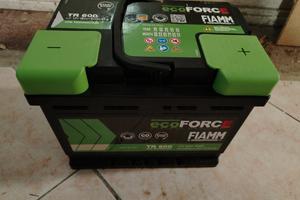 Batteria Fiamm TR600 nuova