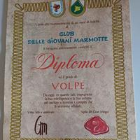 Diploma Giovani Marmotte Volpe
