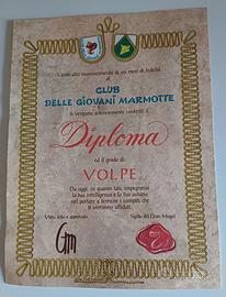 Diploma Giovani Marmotte Volpe