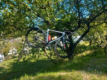 giant tcr 