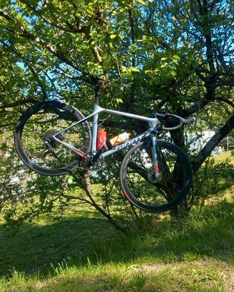 giant tcr 