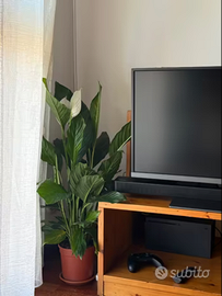 Monitor Gaming 4K HDR 31.5 pollici