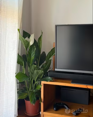 Monitor Gaming 4K HDR 31.5 pollici