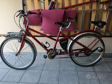 bicicletta bibici