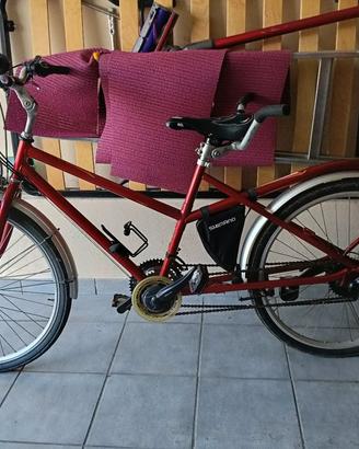 bicicletta bibici