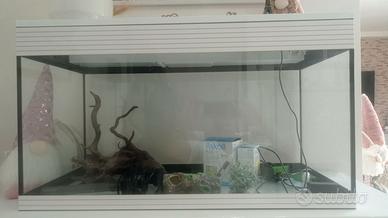 Acquario Askoll pure