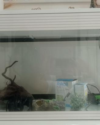 Acquario Askoll pure