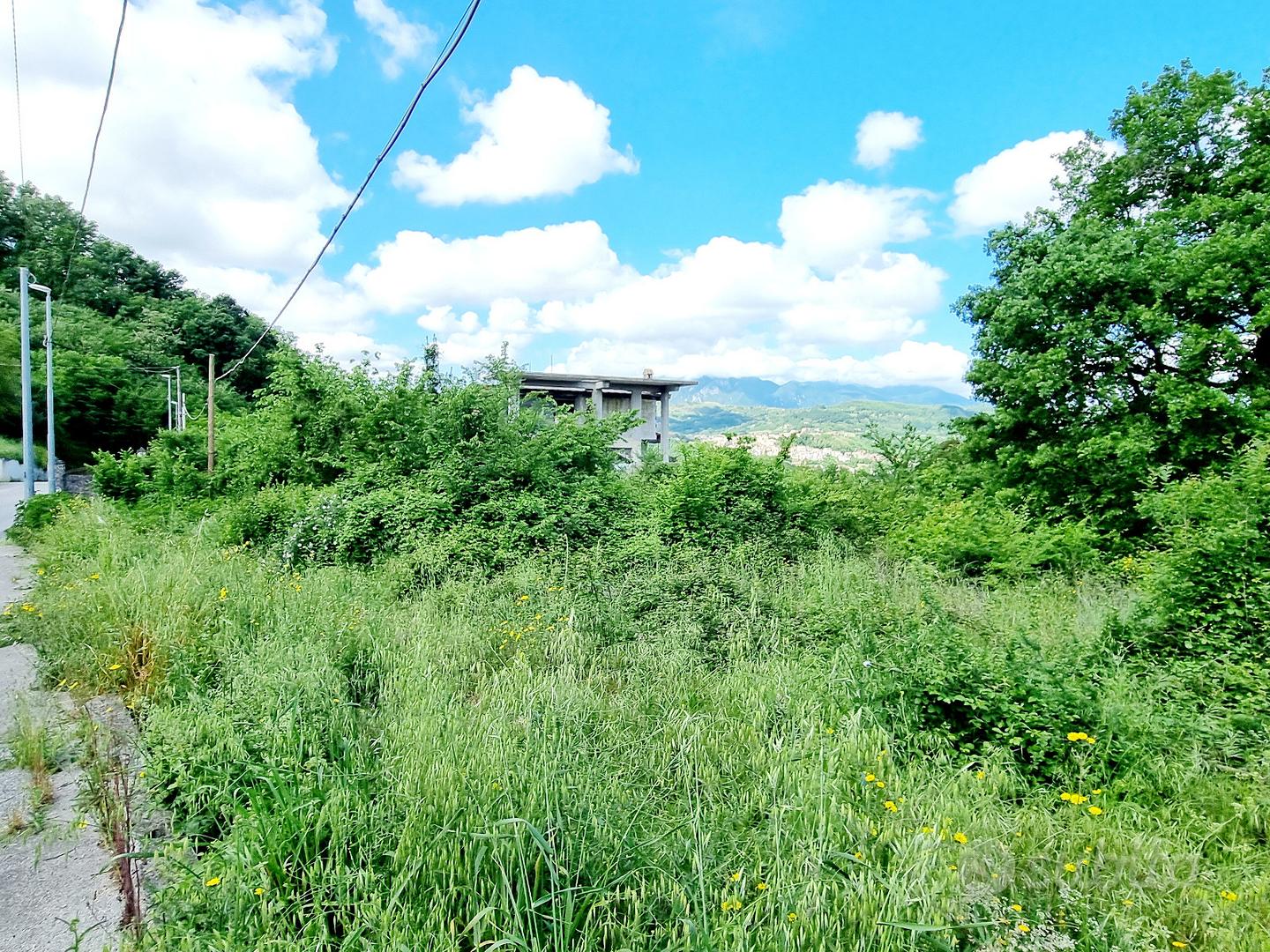 Terreno di 10000 mq in zona C - Vista 4