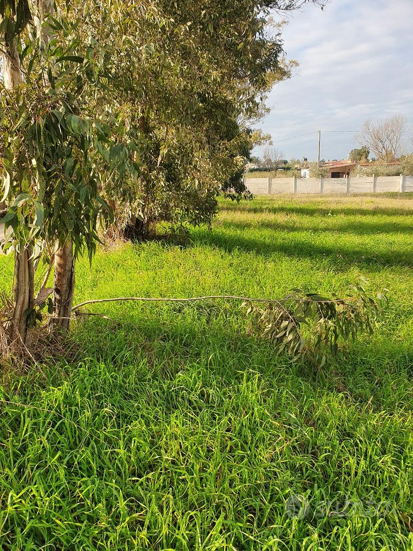 Terreno agricolo - Vista 2