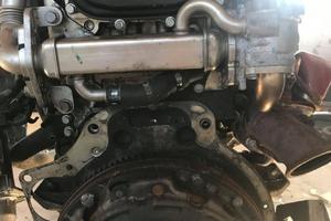 Motore iveco daily - 2.3 d - 2016 - f1agl411d