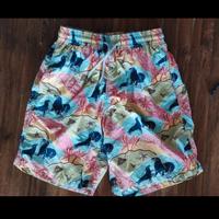 Costume Vilebrequin foche