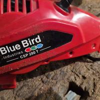 Motosega Blue Bird uso ricambi
