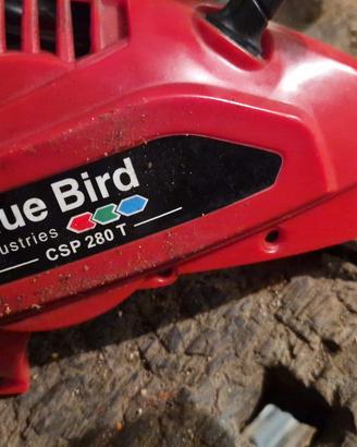 Ricambi motosega Blue Bird