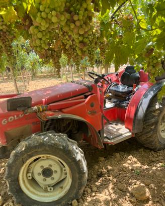 Trattore gommato goldone quasar 90