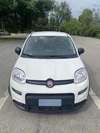 Fiat Panda Hybrid