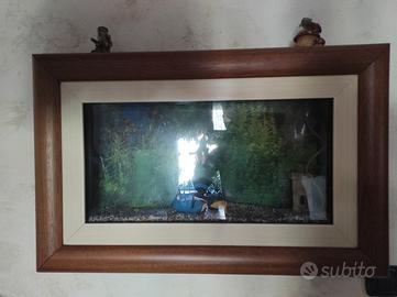 acquario a quadro a  parete
