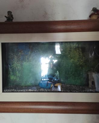 acquario a quadro a  parete