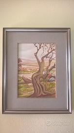 Quadro OLIO SU TELA A.PUXEDDU albero Sardegna