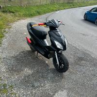 BELLINI B2 prezzo tratt.