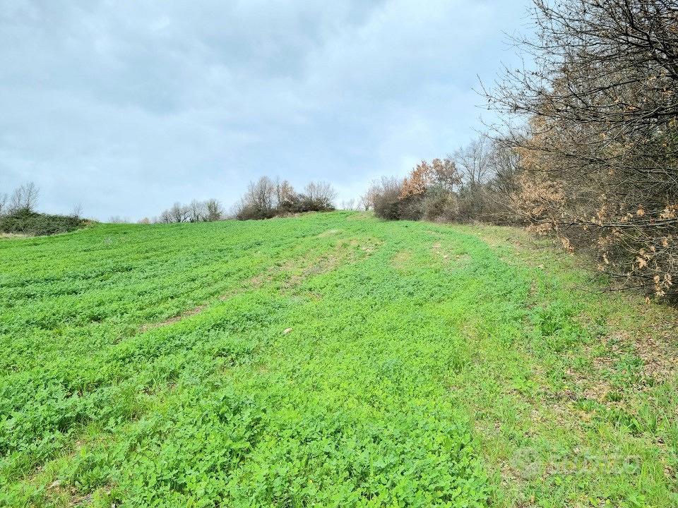 Terreni agricoli di 9000 mq - Vista 5