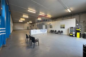 Capannone Industriale - Modugno