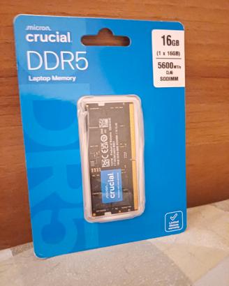 ram 16 gb 